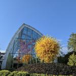 Chihuly Garden and Glass