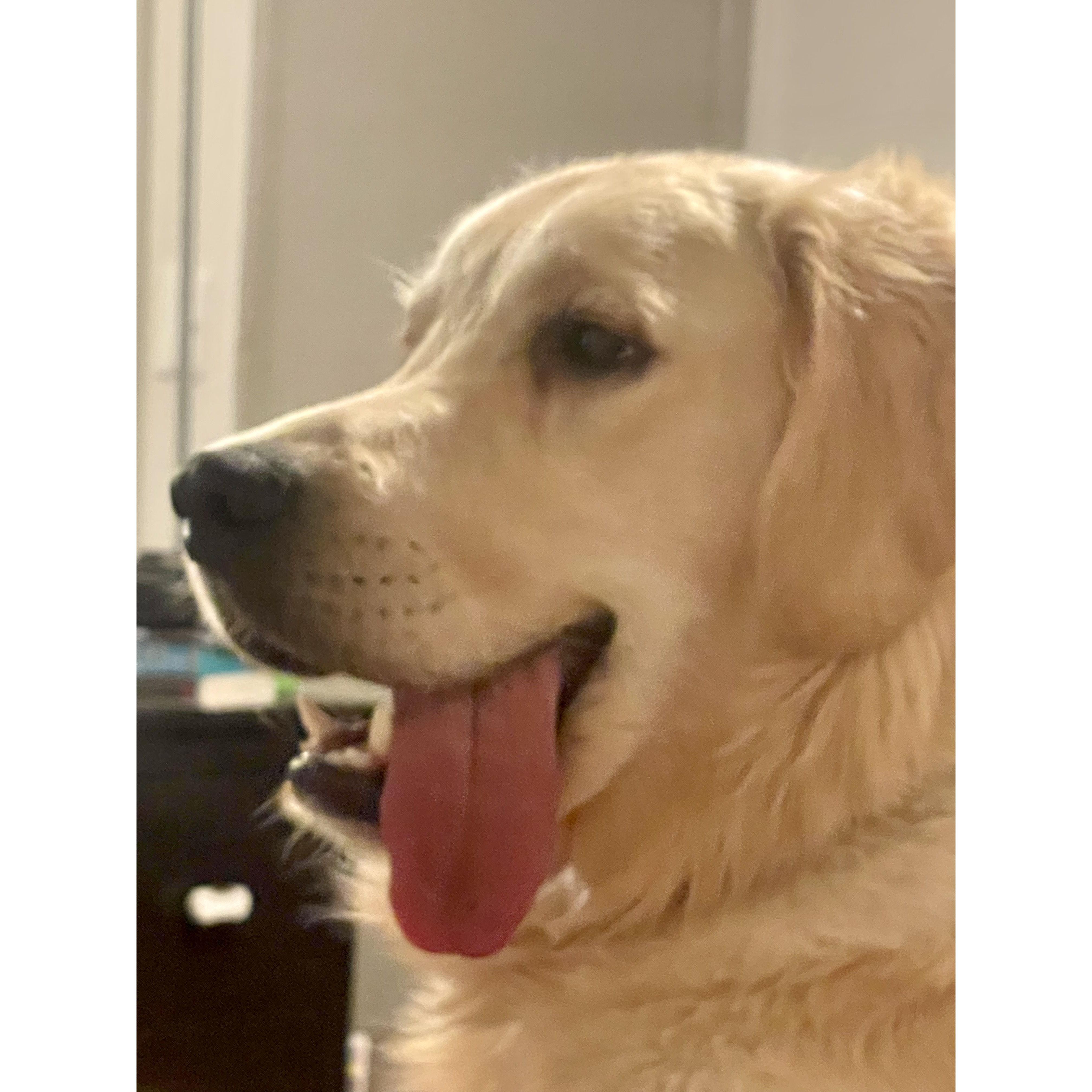 Hey.