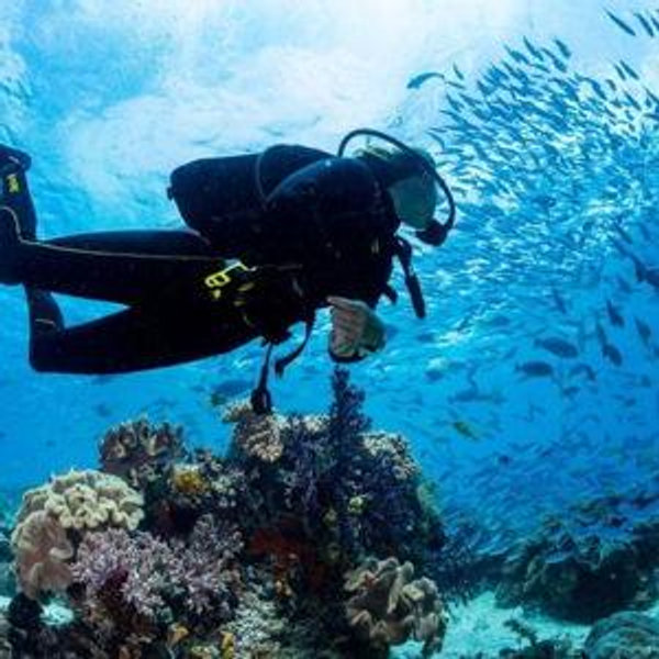 Snorkel & Dive For Two