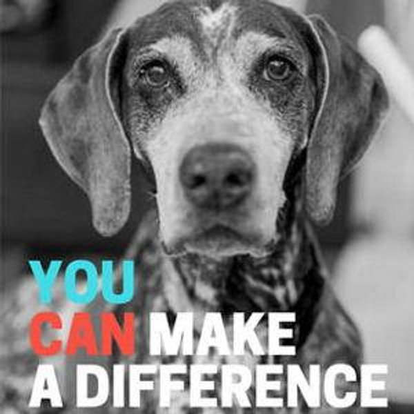 Causes we care about