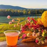 Treasury Cider