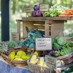 Farmers Market