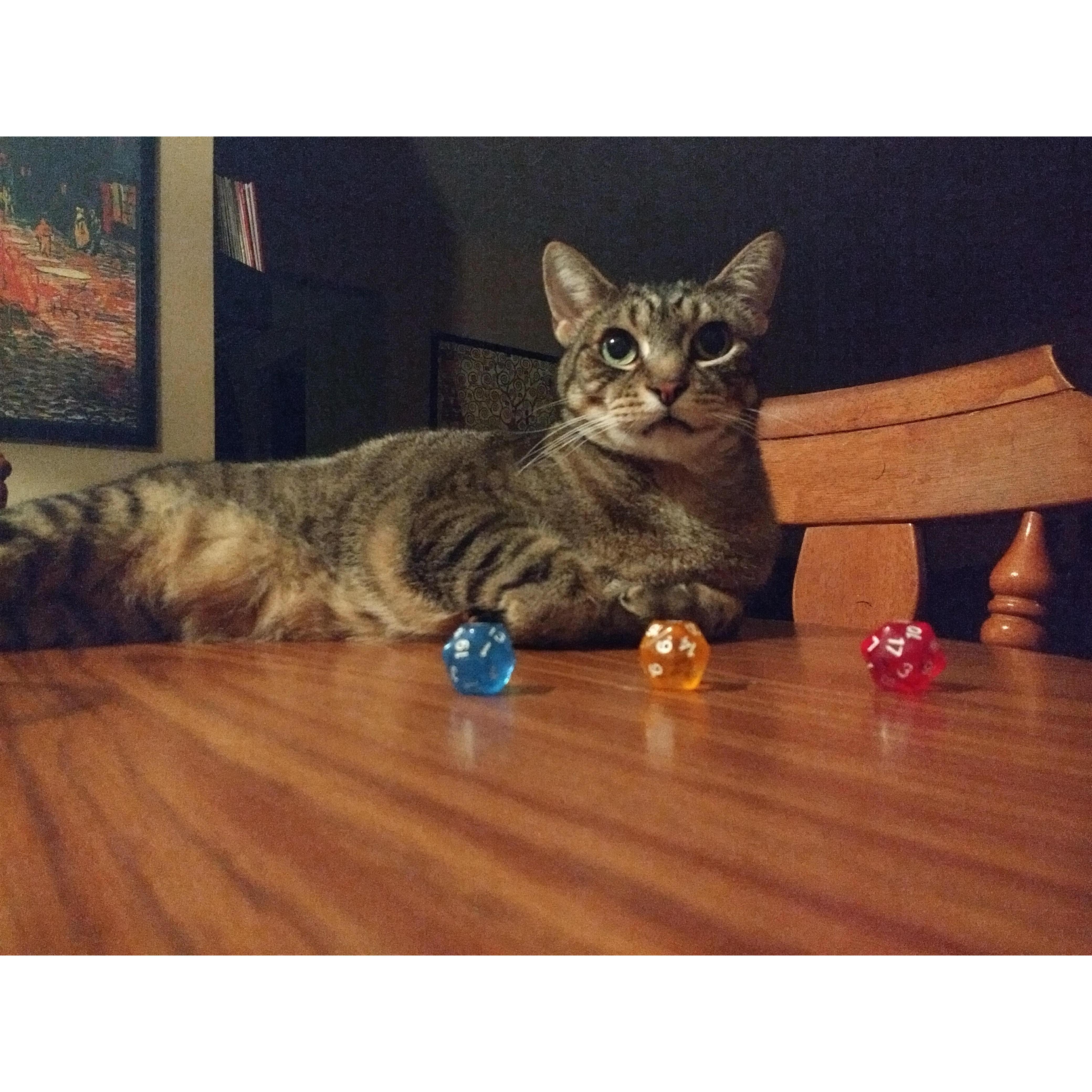Big fan of tabletop role playing games.