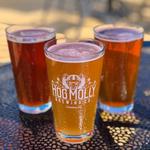 Hog Molly Brewing Co.