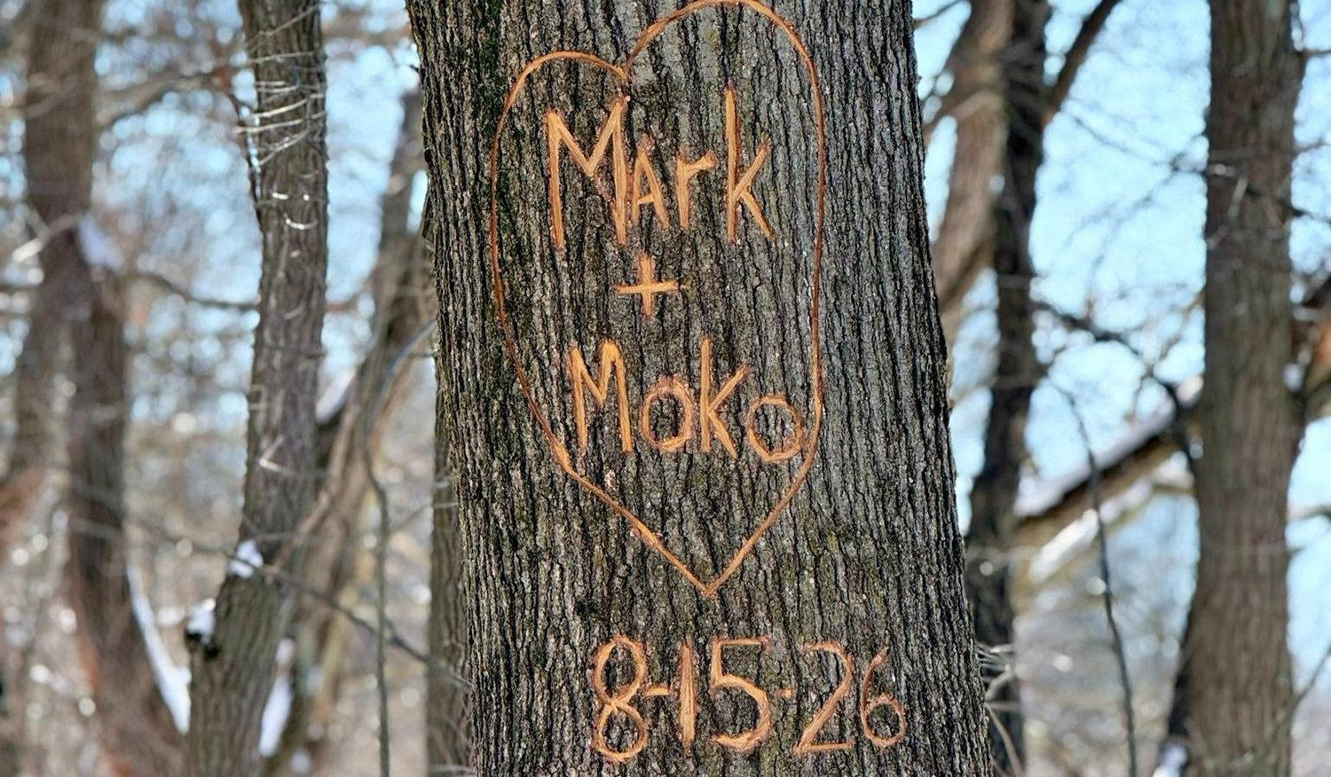 The Wedding Website of Mark Laughlin and Tomoko Holland