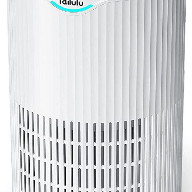 Air Purifiers for Home Large Room 1345 Ft², Tailulu H13 True HEPA Air Cleaner Purify Smoke Dust Pollen Pet Hair Allergies for Bedroom Living Room Kitchen Office, Air Filter with Sleep Mode
