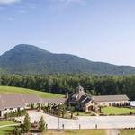Yonah Mountain Vineyards