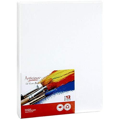 Artlicious Canvas Panels 24 Pack - 9"X12" Super Value Pack- Artist Canvas Boards for Painting