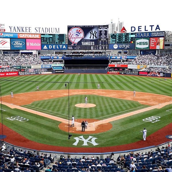 Yankees Game