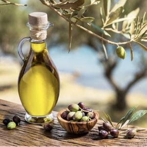 Olive Oil Tasting In Tuscany