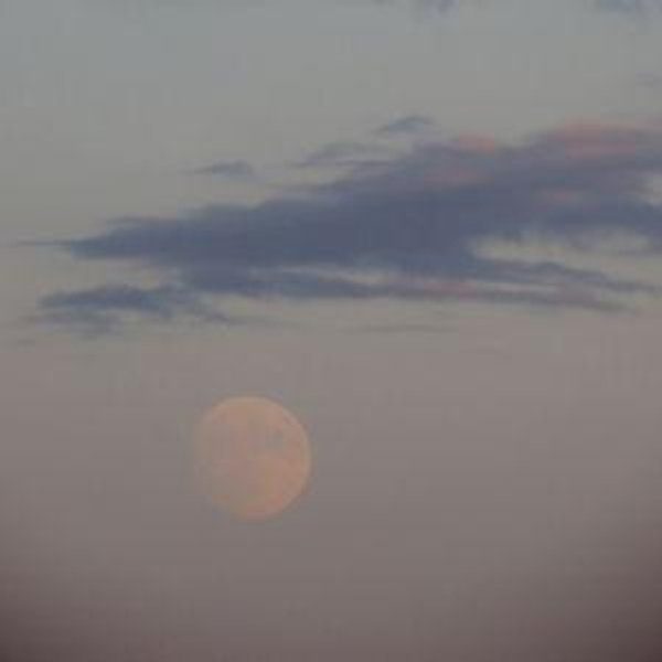 Honeymoon