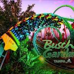 Busch Gardens Tampa Bay