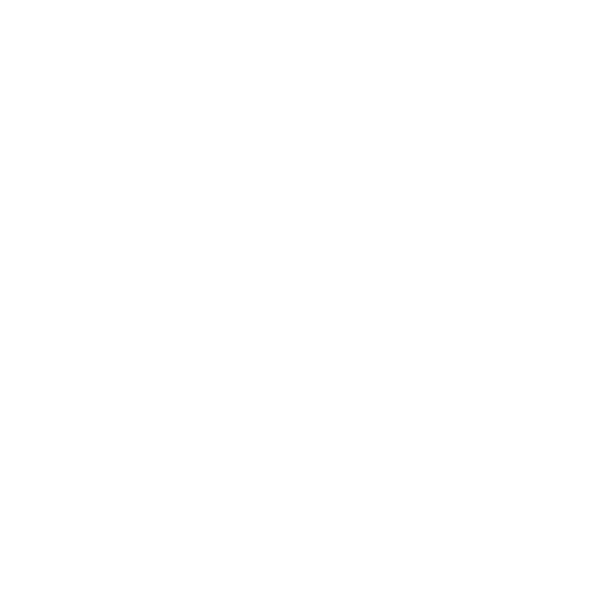 The Wedding Website of Bailey Koch and Ameen Farwana