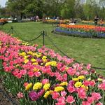 Washington Park