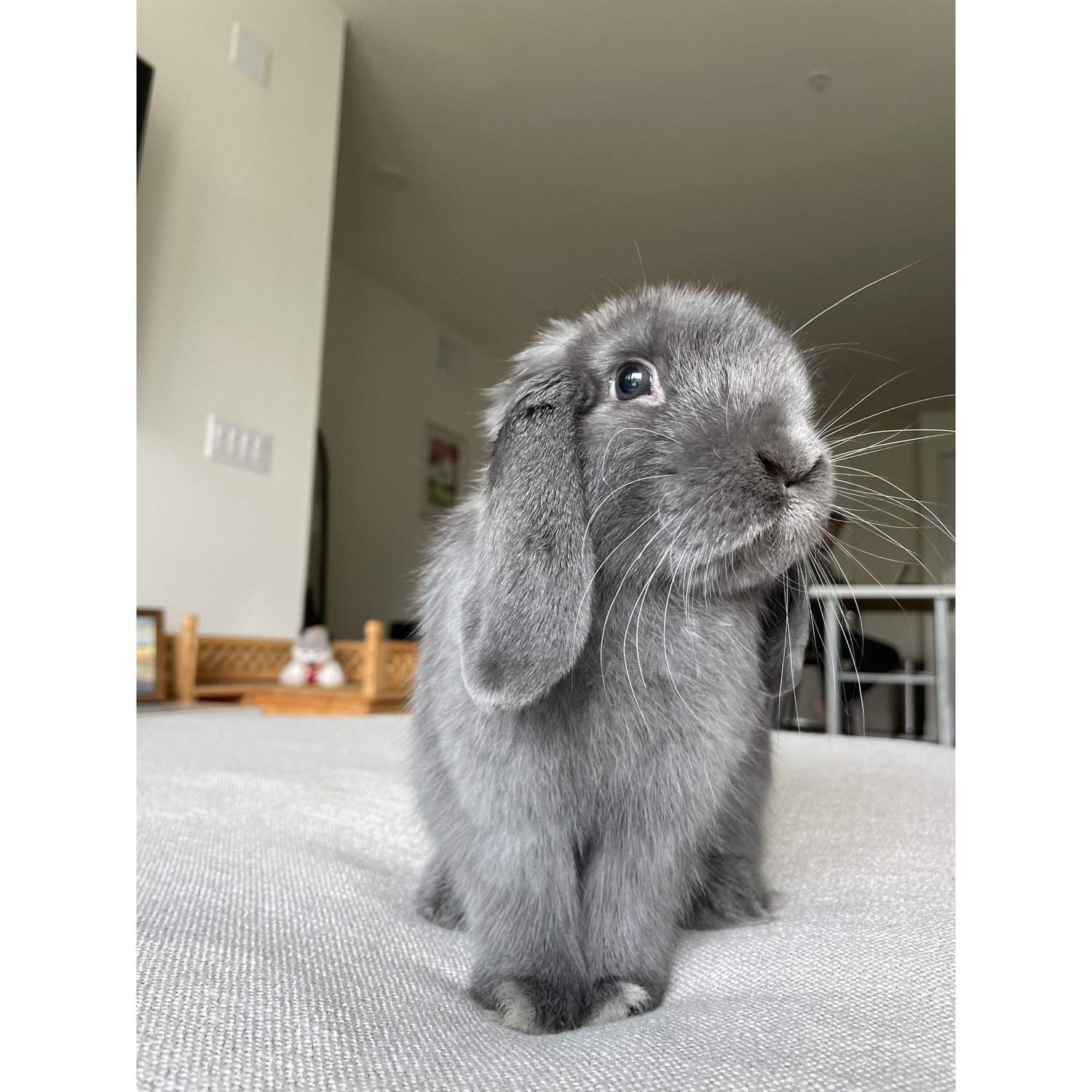 Tom <3
