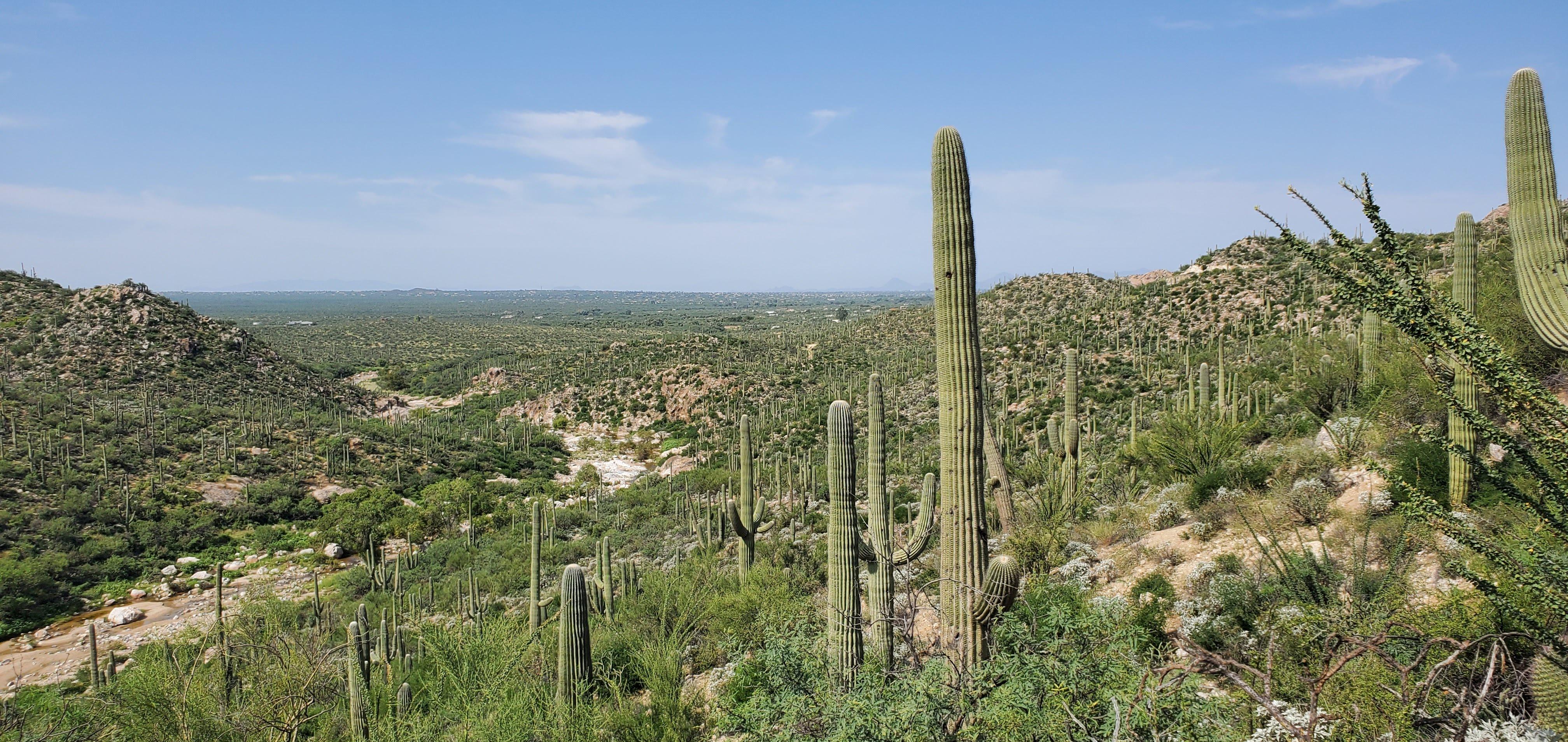 The Wedding Website of Lucia Nguyen and Jafar Al Ameen