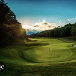 Treetops Resort