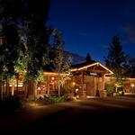 Barking Frog