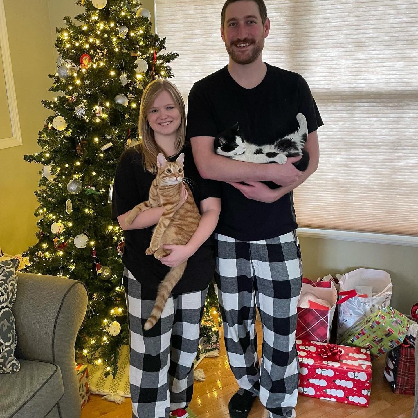 Christmas 2023 with our cats