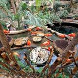 The Dallas World Aquarium