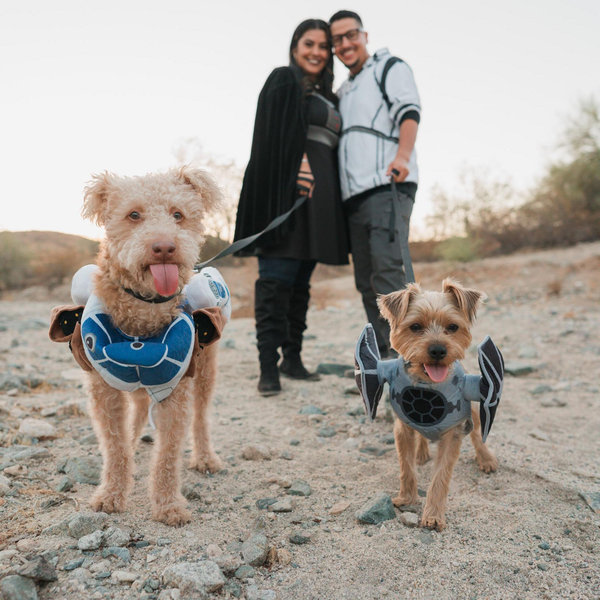 Pet Hotel For Our Wedding!