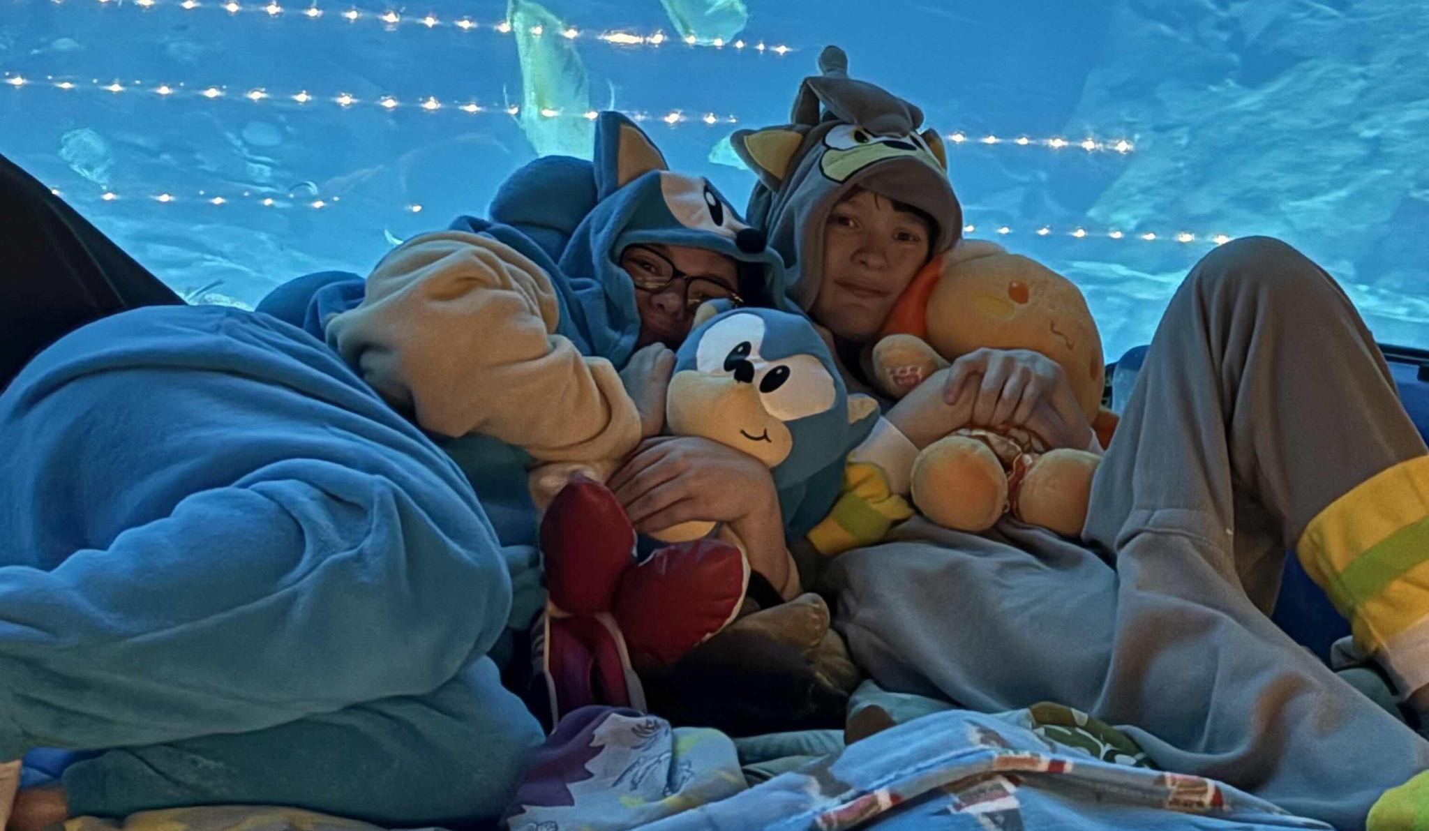 The Wedding Website of Ava Meleshenko and Ali Peace