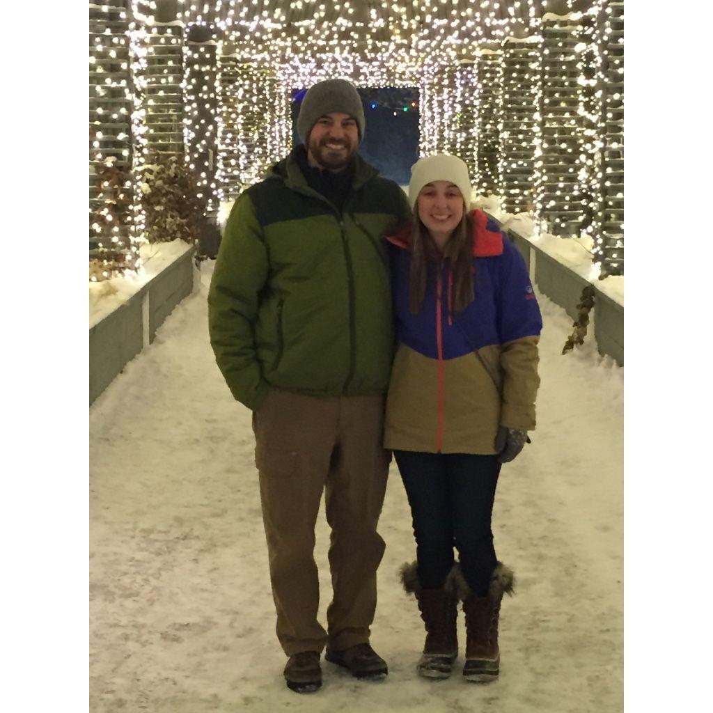 Holiday lights at the Botanical Gardens