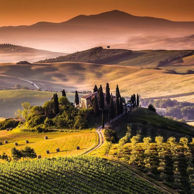 Tuscan Wine Tour
