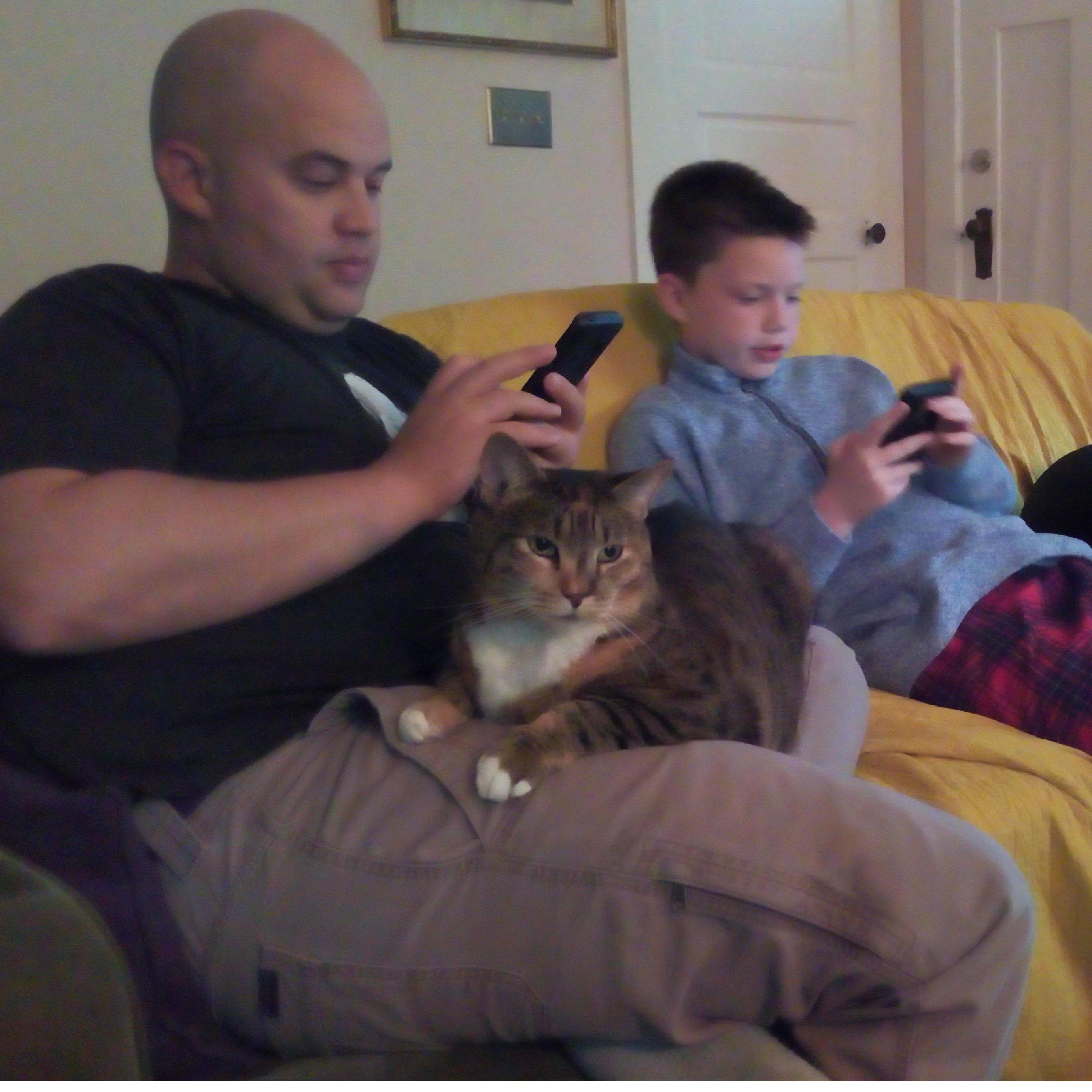 Just a typical Sunday.