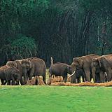 Periyar National Park & Thekkady Spice Plantation