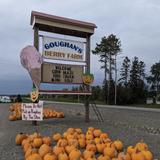 Goughan's Berry Farm