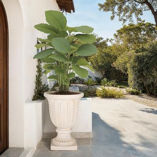 Apollo Planter Pot