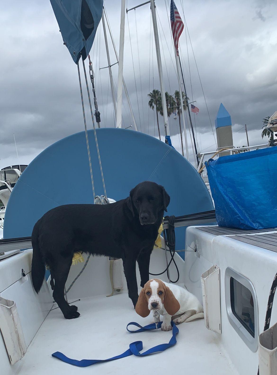 The Wedding Website of Linda Johnson and Jake Bisson