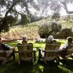 Bella Vineyards & Wine Caves