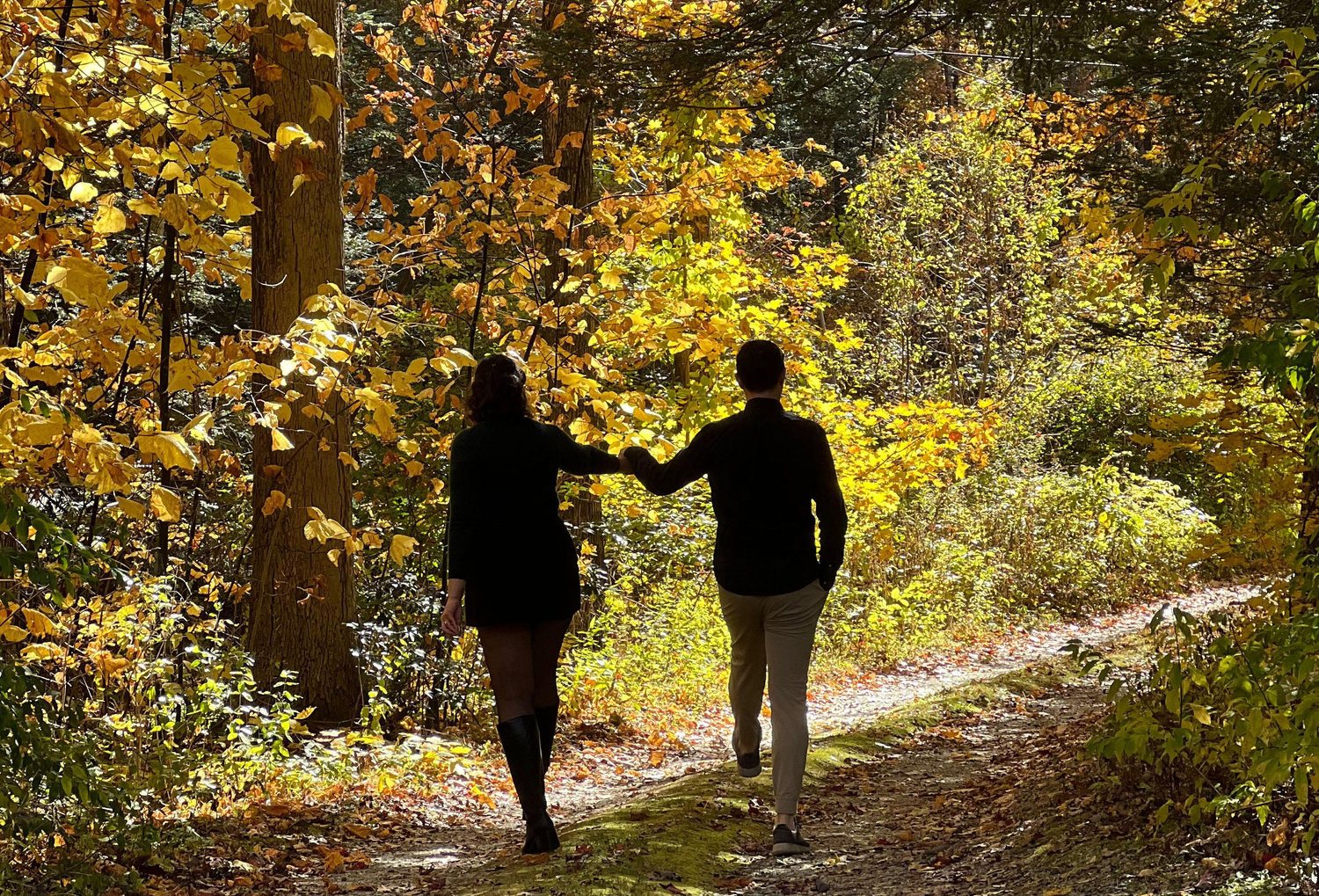 The Wedding Website of Helena Palmieri and Jack Swikart