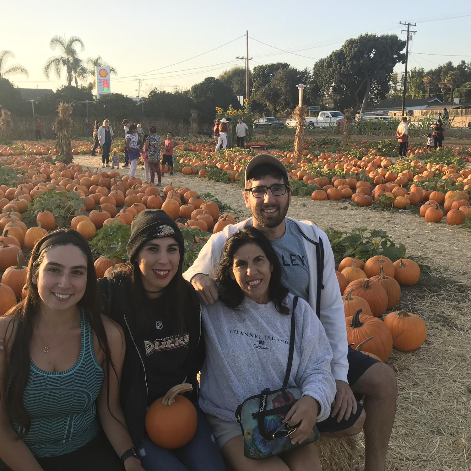 Pumpkin patch!