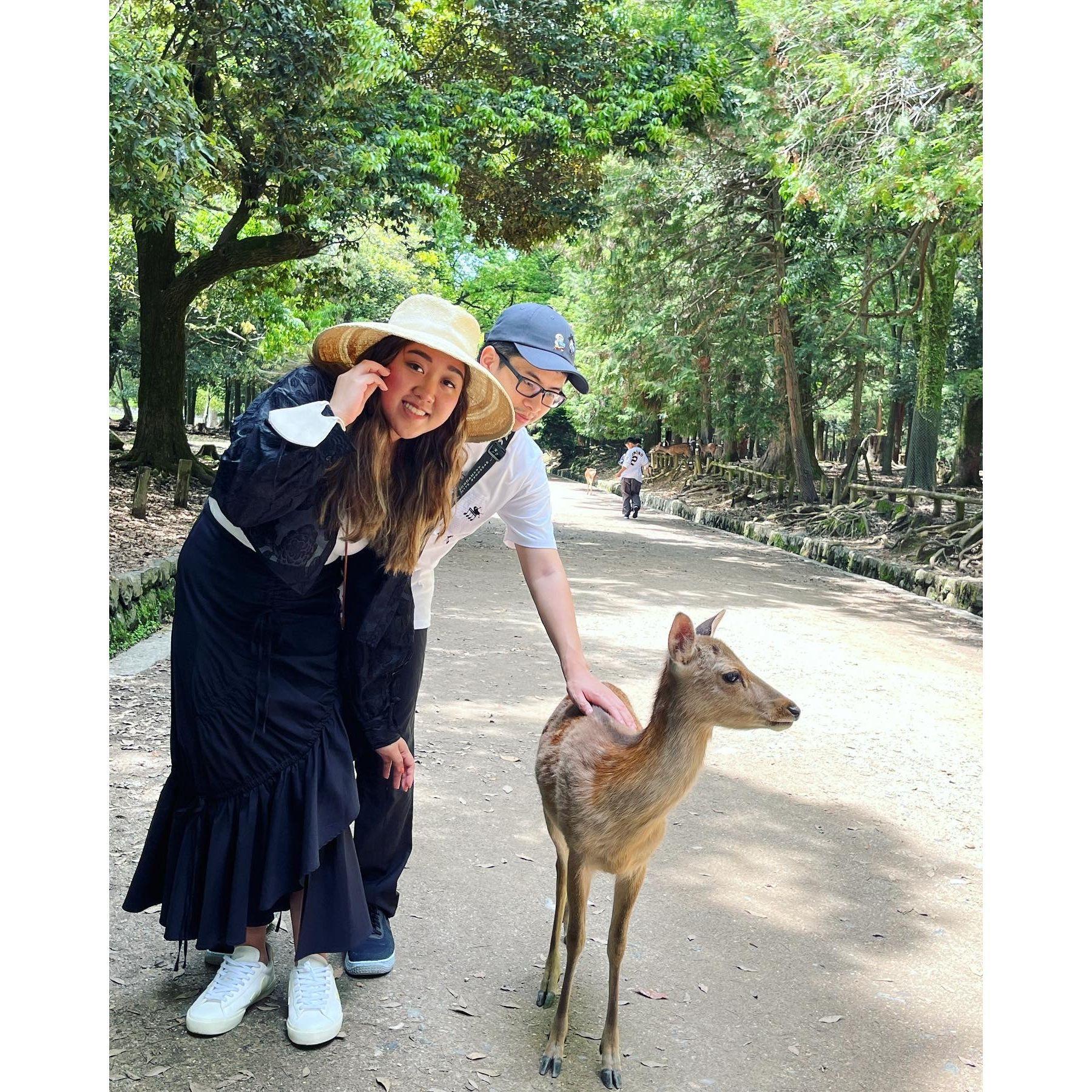 The trip we talked about since we first ever met! - Nara, Japan