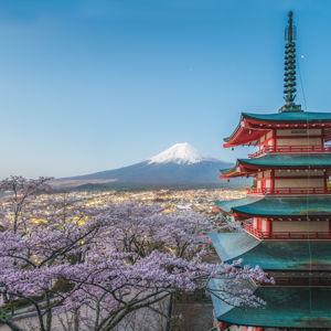 Japan Honeymoon Fund