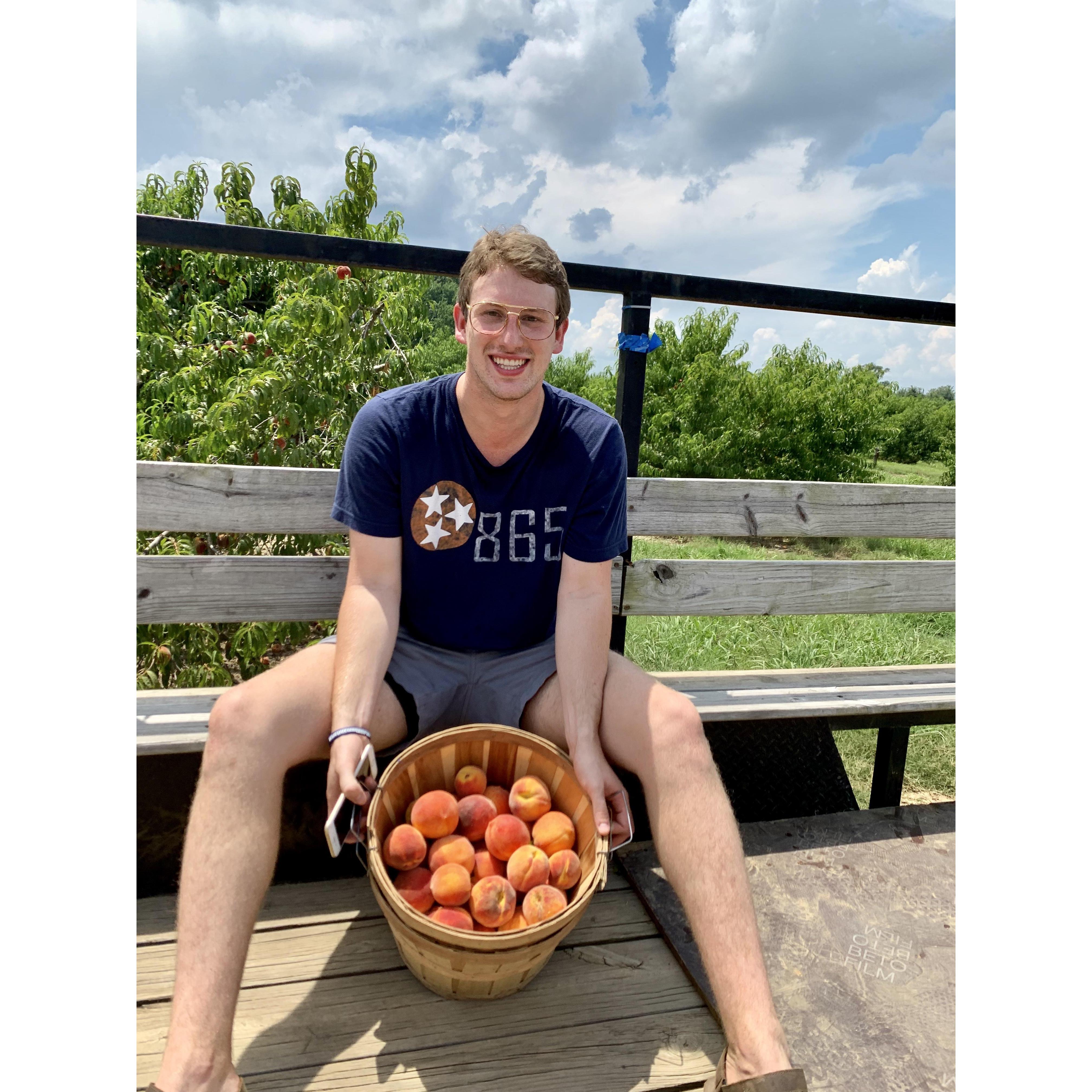 Peach pickin'