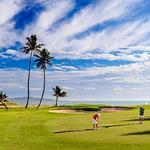 The Denarau Golf Club