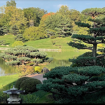 Chicago Botanic Garden