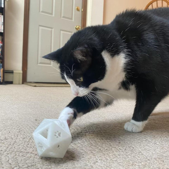 D20 Cat Treat Toy
