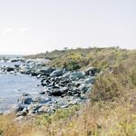 Sachuest Point National Wildlife Refuge