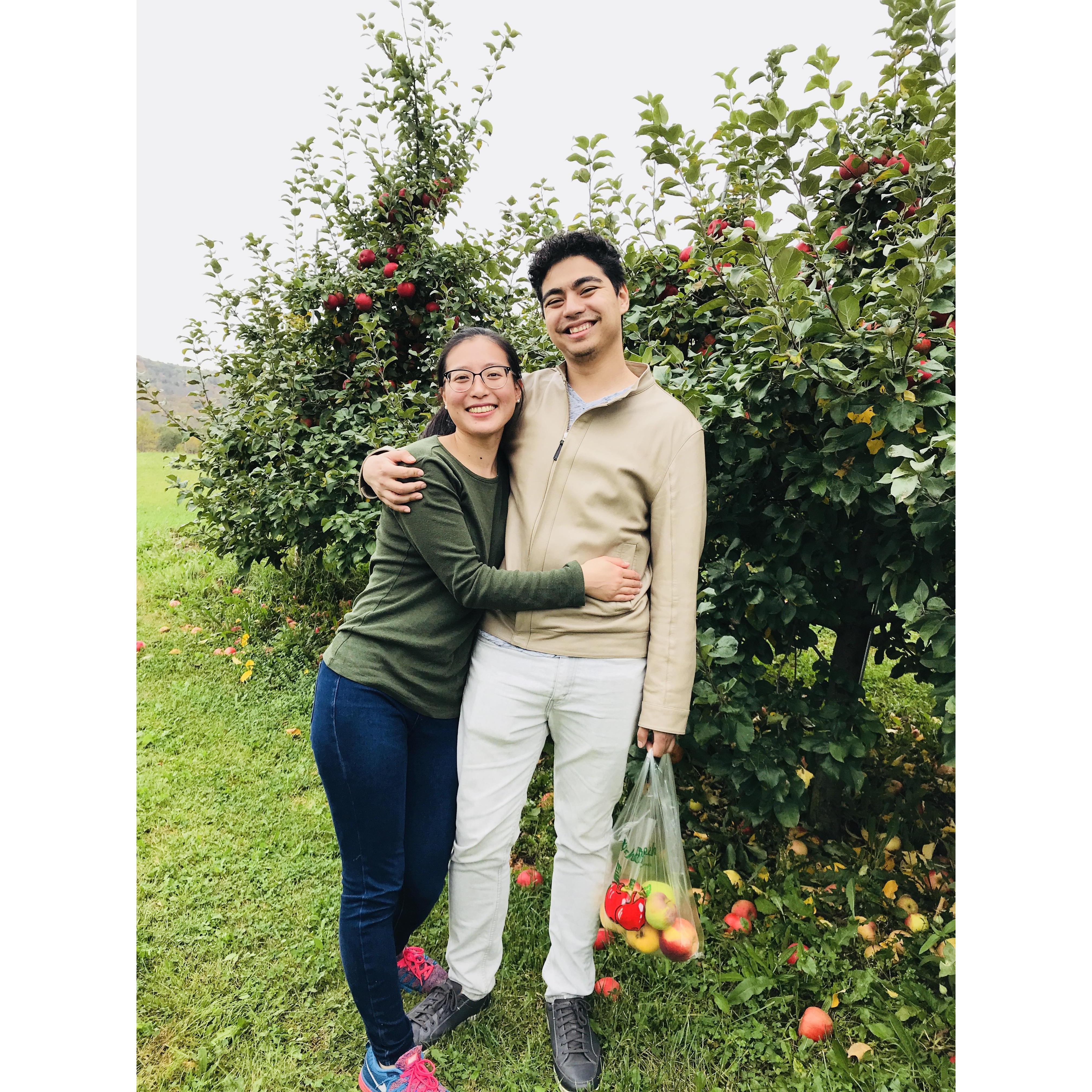 Apple Picking October 2017