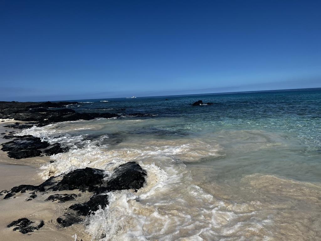 The Wedding Website of Amber Michelson and Joshua Hanlon