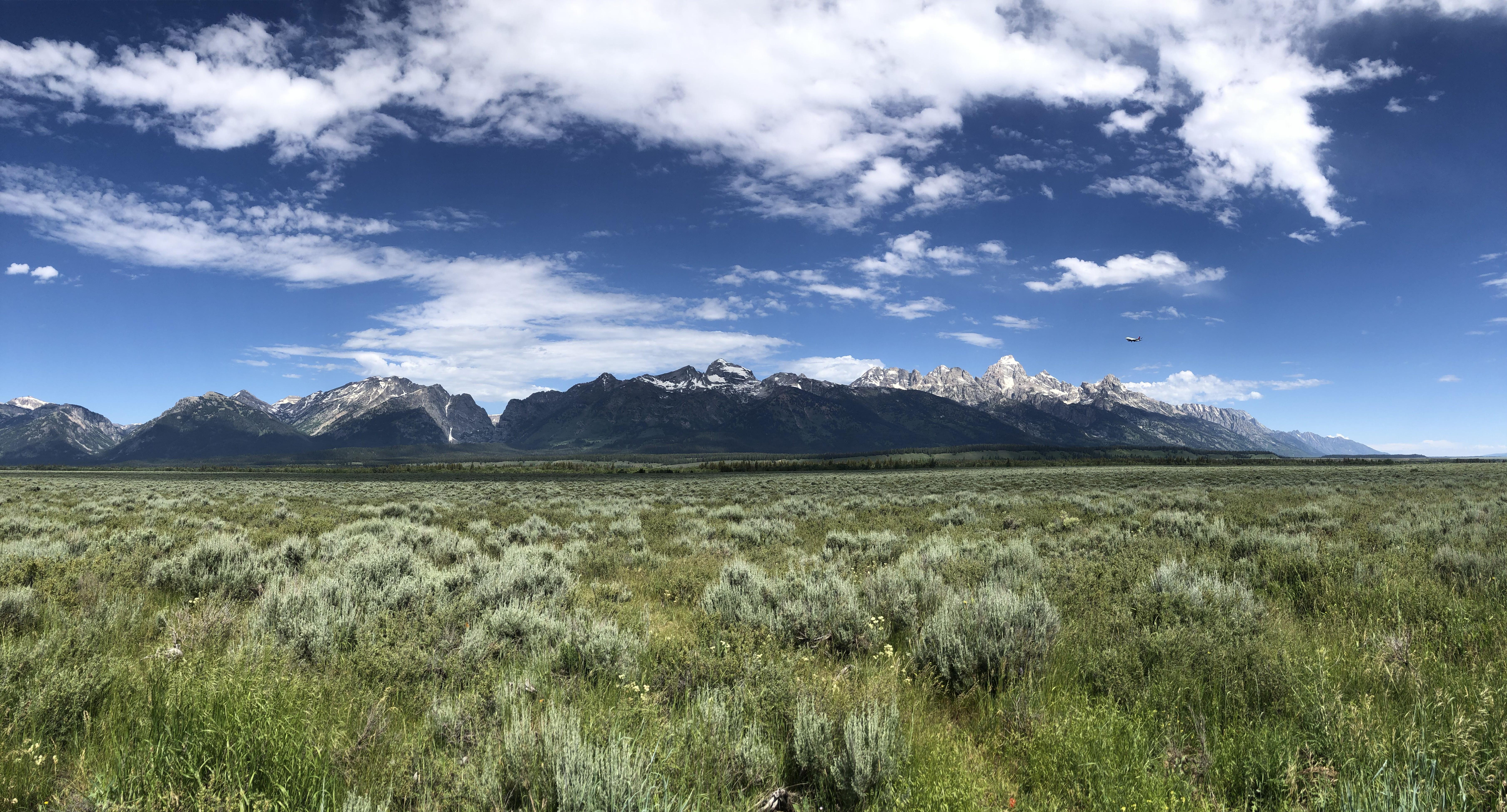 The Wedding Website of Jenny Christy and Steven Pensabene