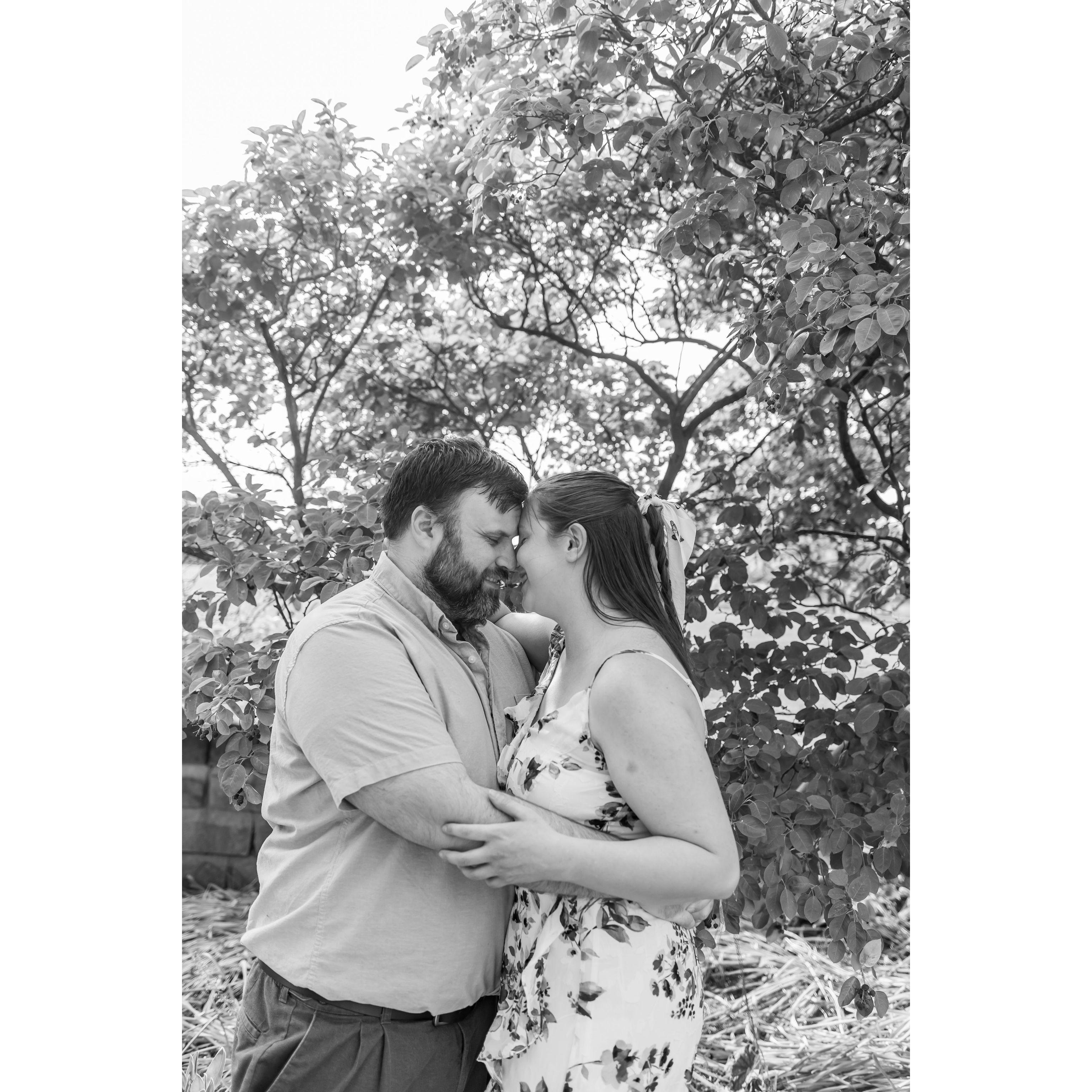 We did an Engagement photo shoot through Minnetrista's paths and gardens in June of 2023.