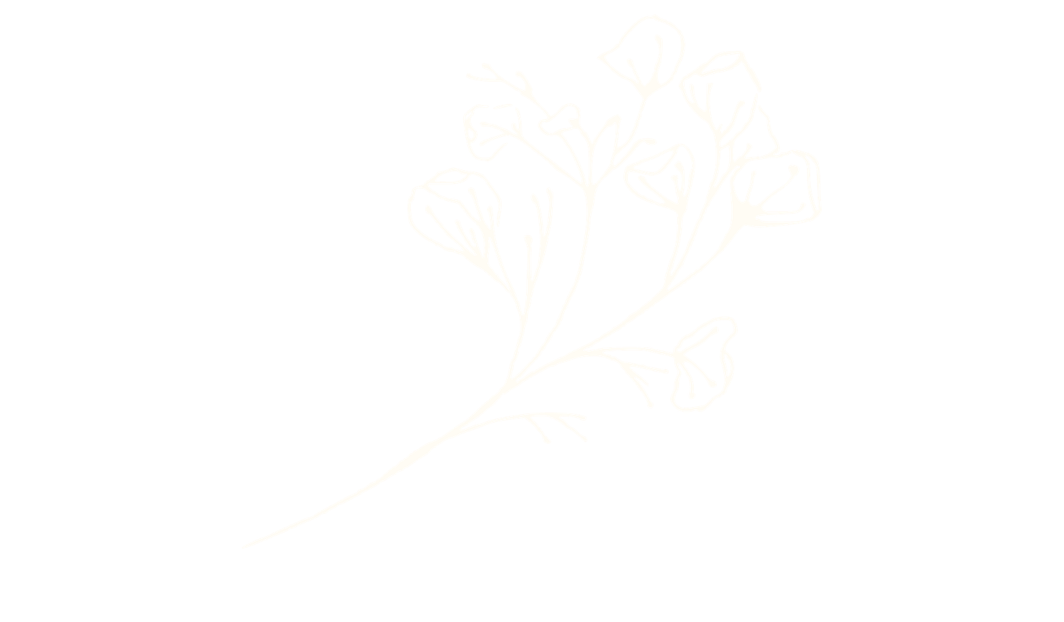 Footer image