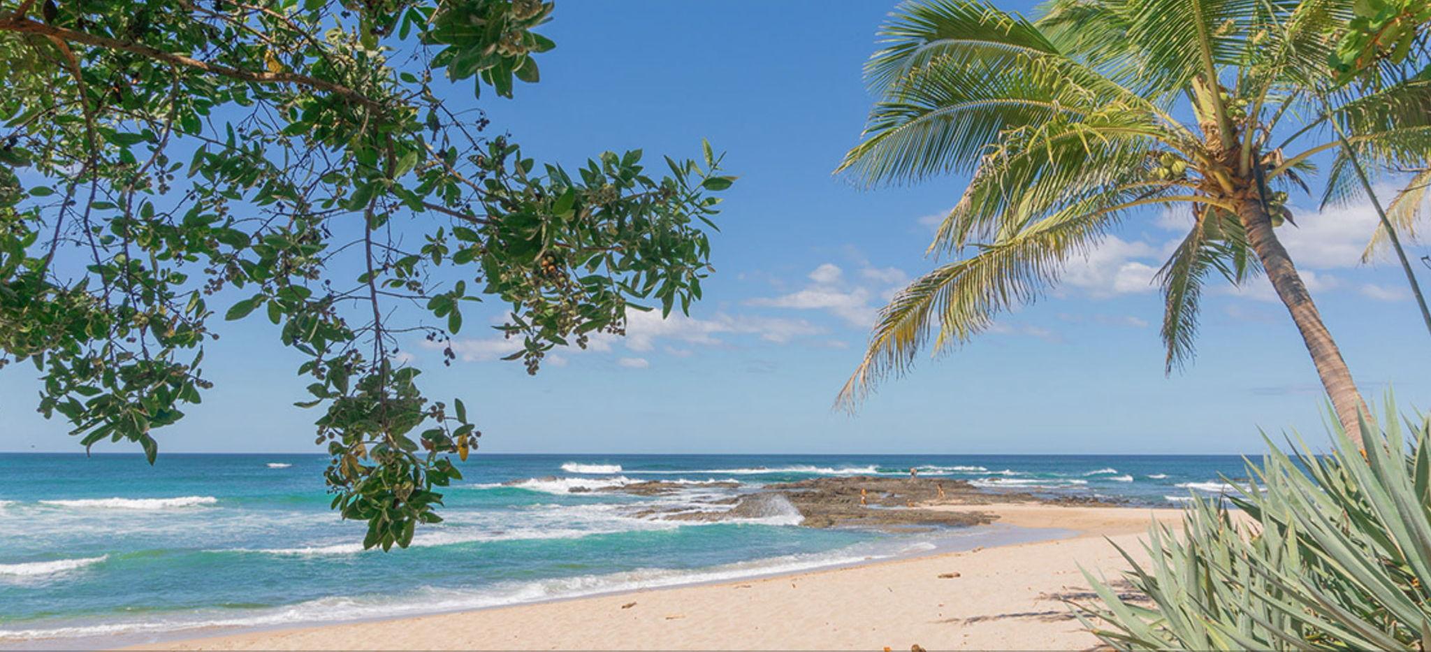 The Wedding Website of Elyse Lombardi and Alex Salzman