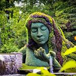 Atlanta Botanical Garden